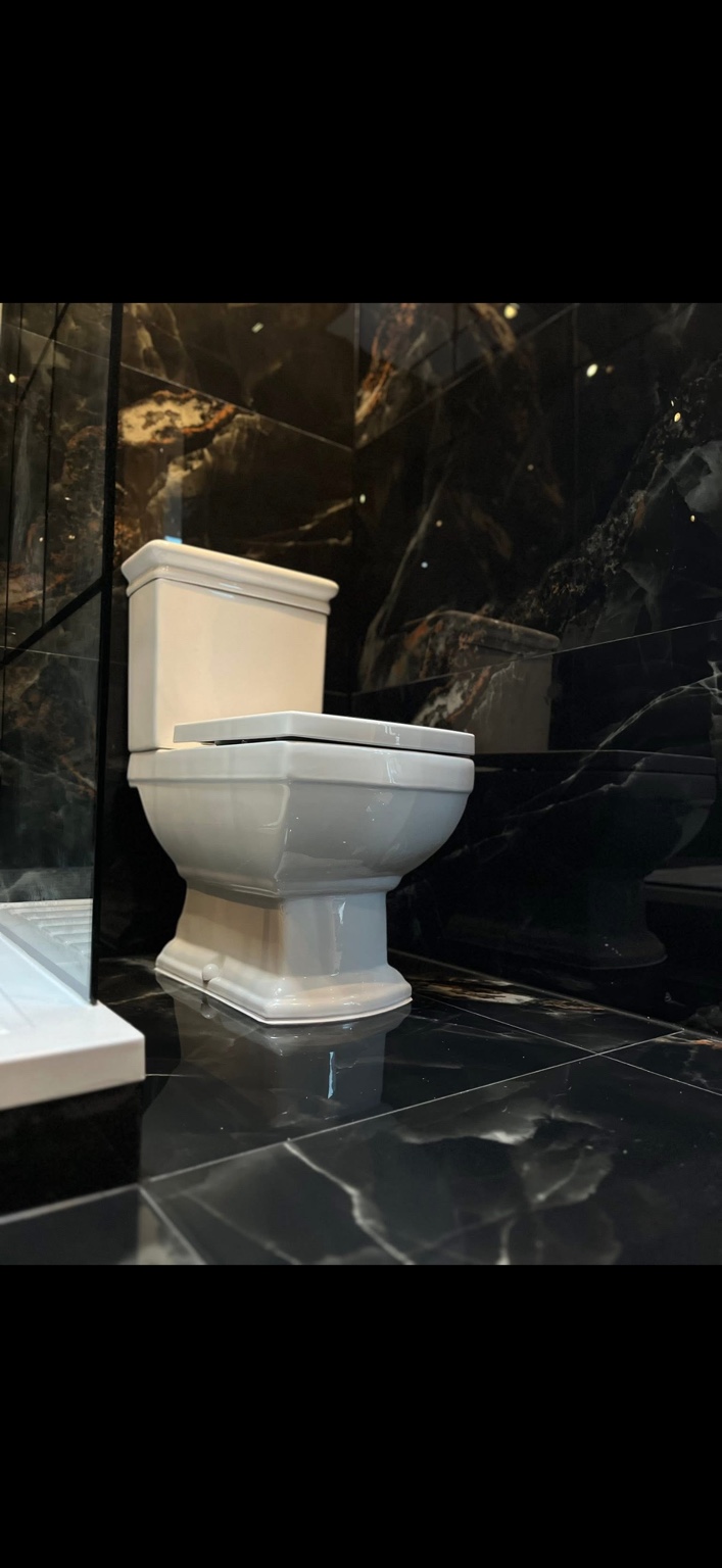 Traditional toilet installed in luxury black tiled bathroom